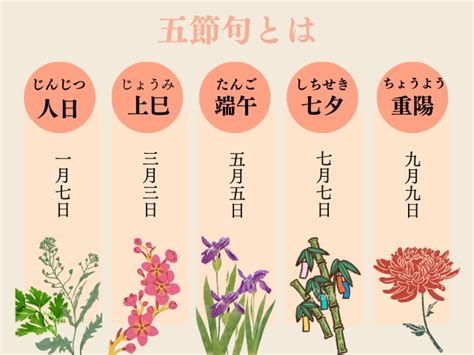 九菊|9月9日の重陽・菊の節句の意味と歴史